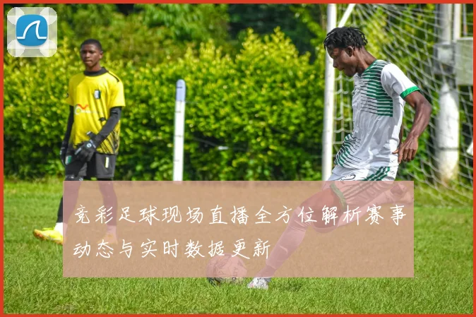 竞彩足球现场直播全方位解析赛事动态与实时数据更新