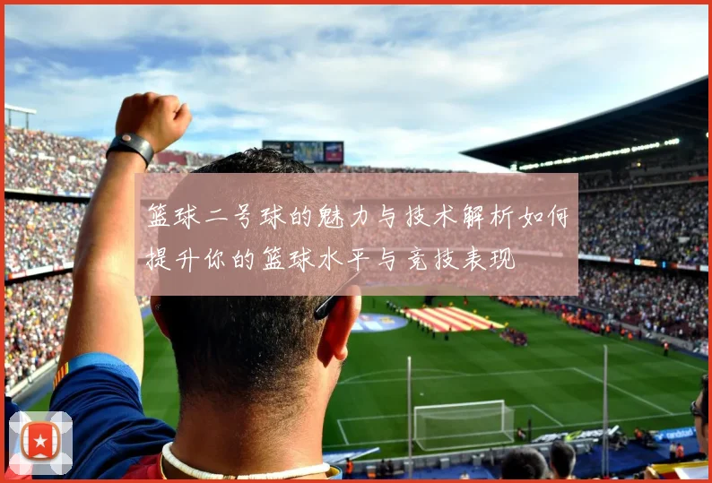 篮球二号球的魅力与技术解析如何提升你的篮球水平与竞技表现