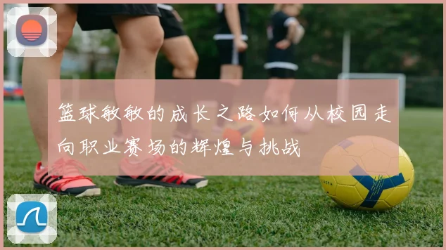 篮球敏敏的成长之路如何从校园走向职业赛场的辉煌与挑战