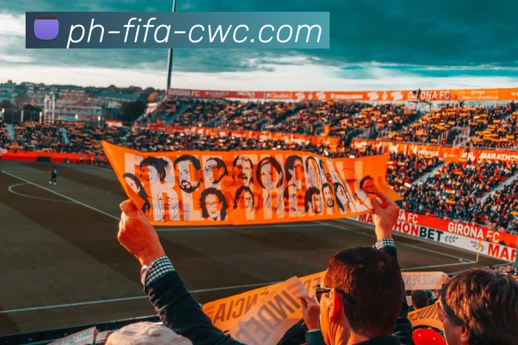 World Cup平台生态图